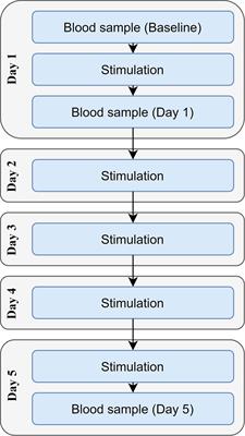 Anodal tDCS Over the Left Prefrontal Cortex Does Not Cause Clinically Significant Changes in Circulating Metabolites